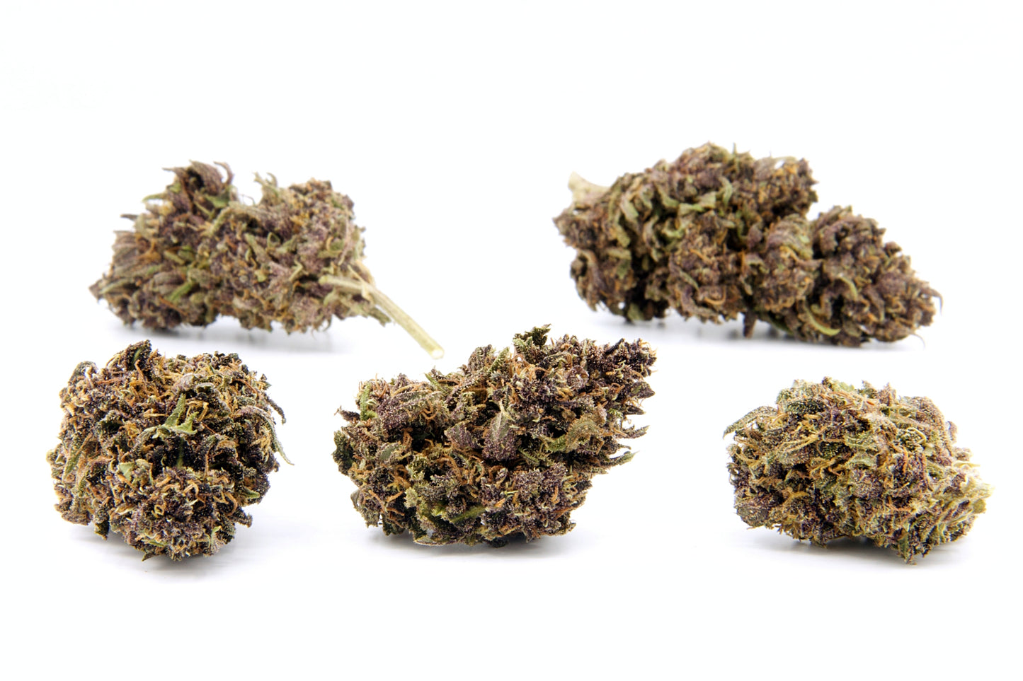 Banana Pancakes • Fleur exclusive Rainbow Sherbet