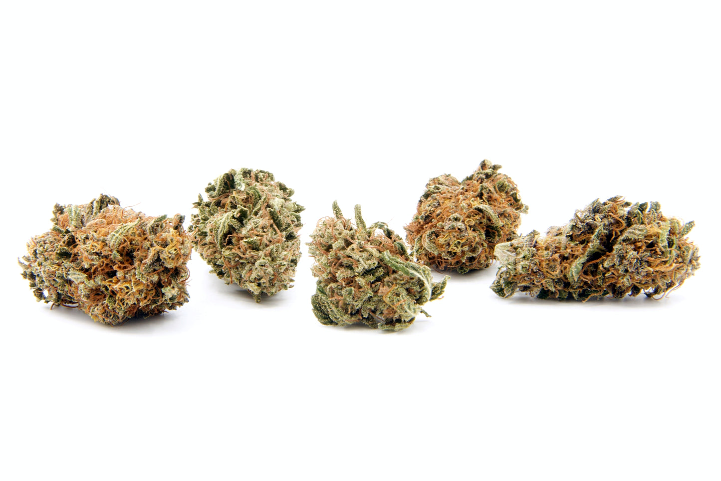 Angels • Fleur Lemon Cookie