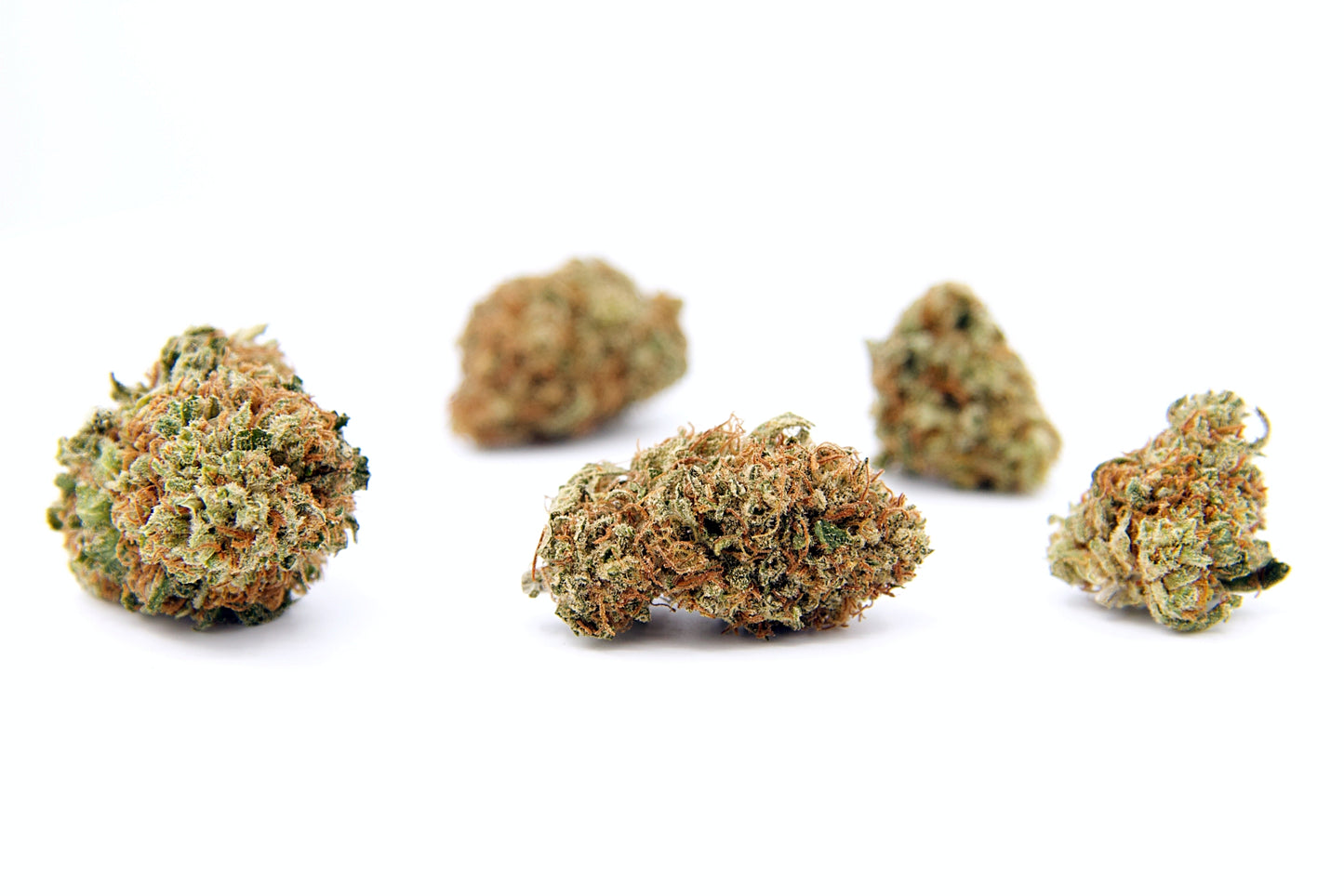 It's All Gravity • Fleur Allium OG