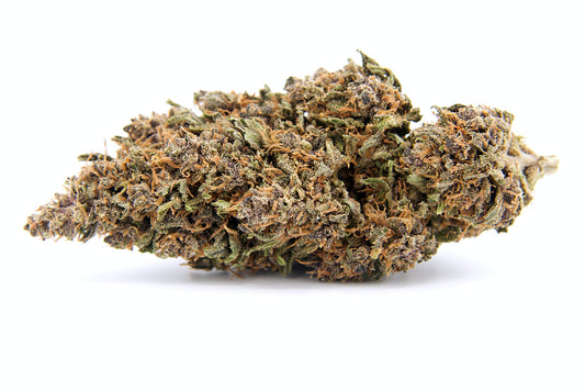 Purple Rain • Fleur Blue Meringue Diesel