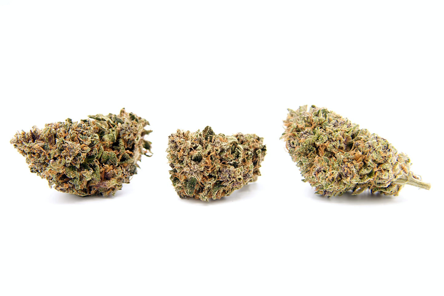 Purple Rain • Fleur Blue Meringue Diesel