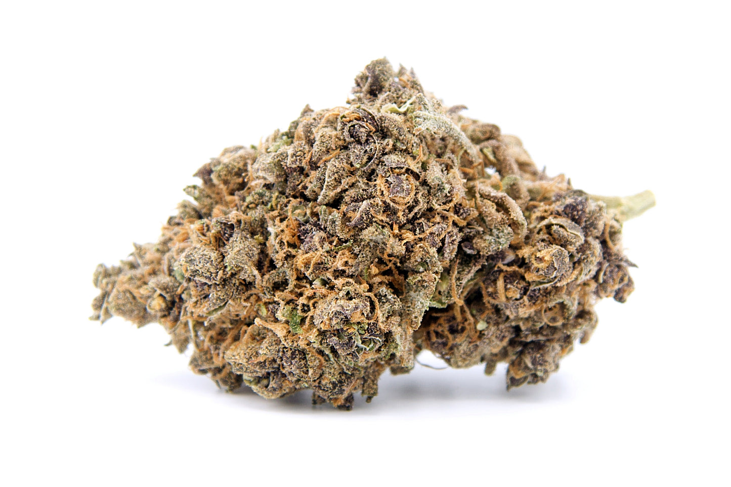 Electric Feel • Fleur Peach Tart