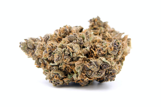 Electric Feel • Fleur Peach Tart