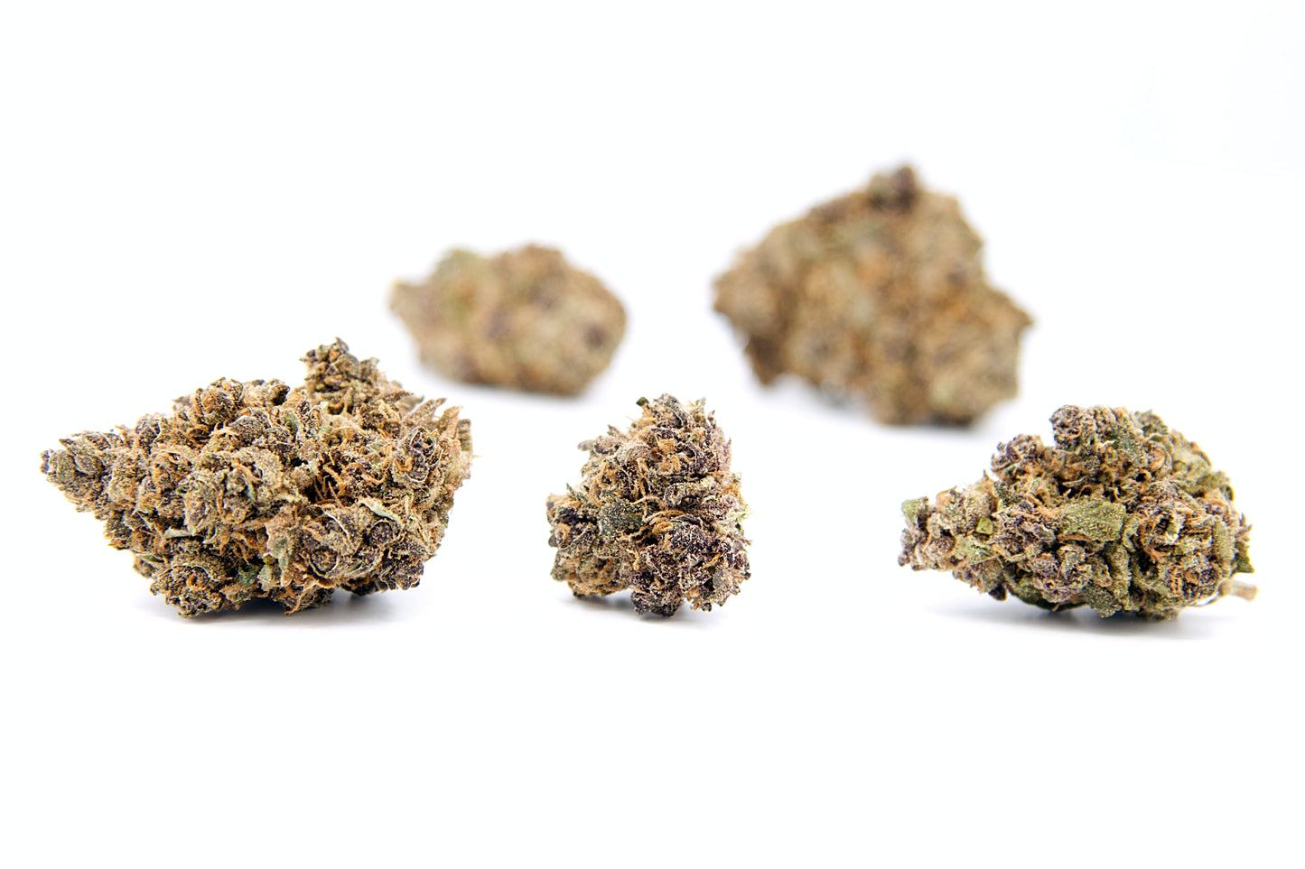 Electric Feel • Fleur Peach Tart